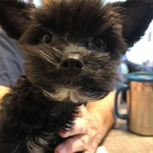 Meet your Posher, Sherry